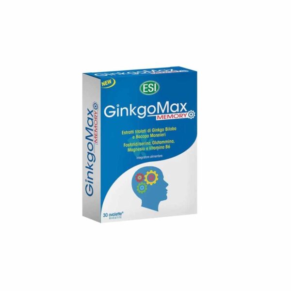 Esi GinkgoMax Memory