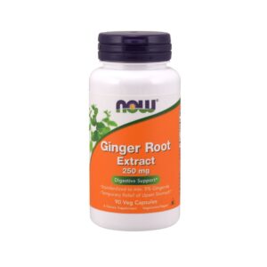 Now Ginger Root Extract 250 mg