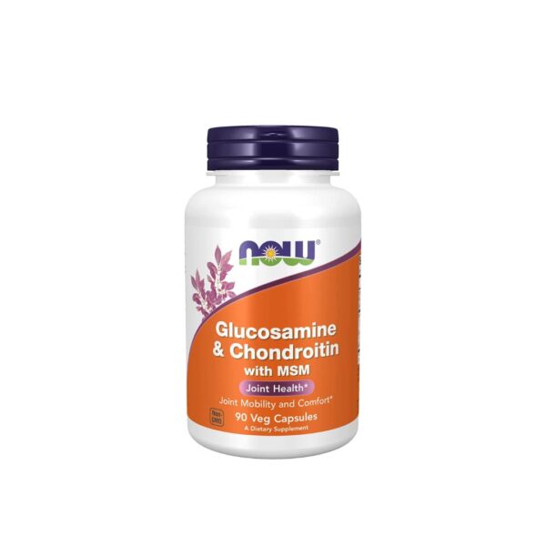 Now Glucosamine Chondroitin with MSM
