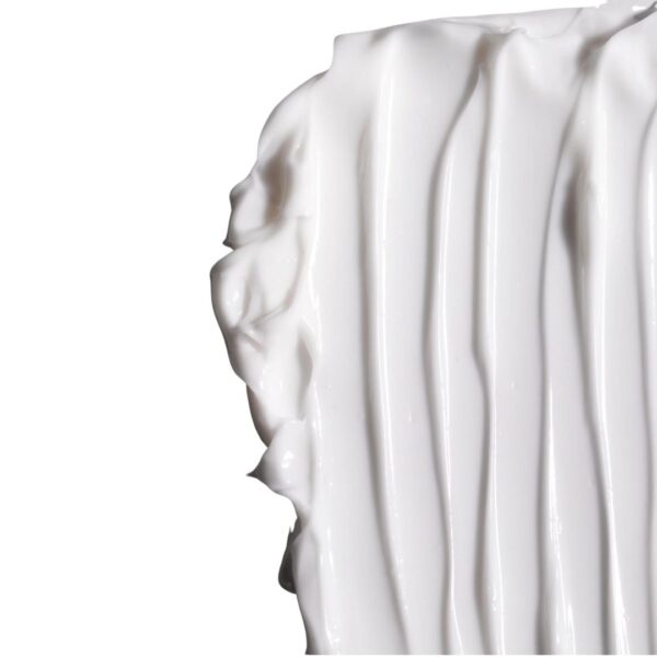 RVB Lab Microbioma Rich Balancing Cream with Prebiotics