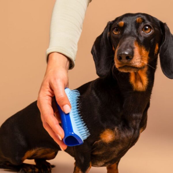 Tangle Teezer De-shedding Dog Grooming Brush