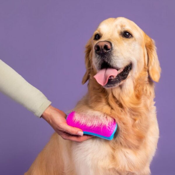 Tangle Teezer De-shedding Dog Grooming Brush