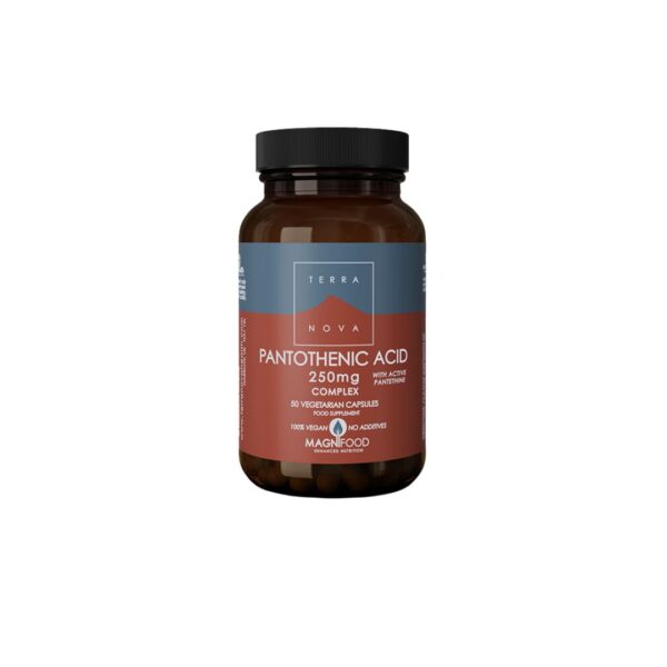 Terranova Pantothenic Acid (with Pantethine) 250mg Complex