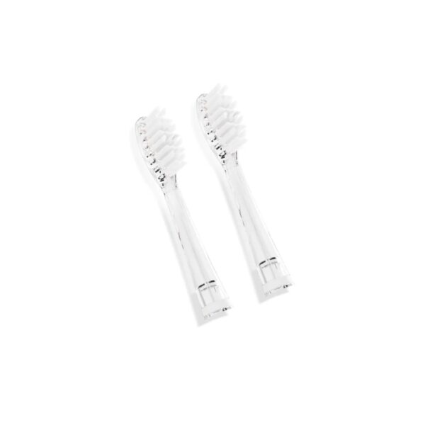 Neno Fratelli Replacement Toothbrush Head