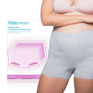 Frida Mom Disposable Postpartum Underwear