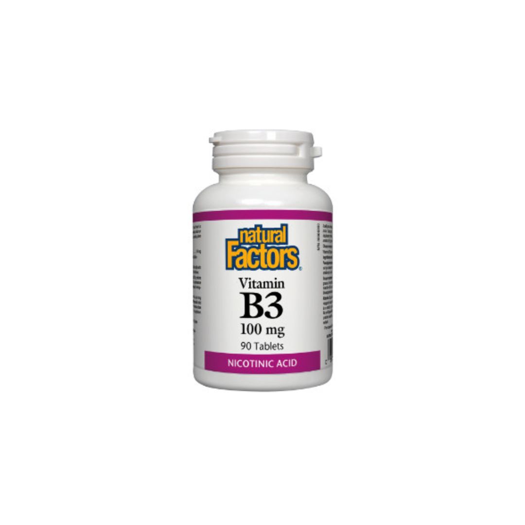 Natural Factors Vitamin B3 100 mg