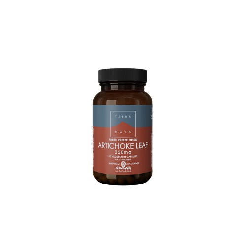 TERRA NOVA ARTICHOKE LEAF 250 MG X 50 VEGETARIAN CAPSULES